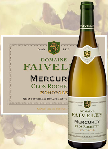 Vino Bourgogne Mercurey Clos Rochette 2011
