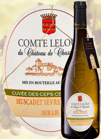 Magnum Comte Leloup Château De Chasseloir 2013 Muscadet Chéreau carré