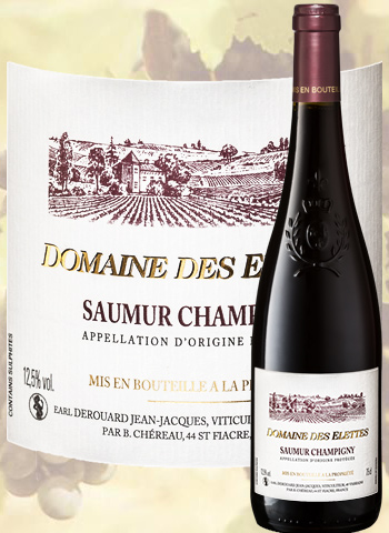 Domaine des Elettes 2017 Saumur-Champigny Derouard